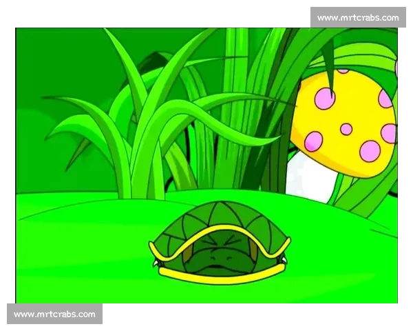 乌龟比赛挑战赛：智慧与耐力的较量谁将成为最终的胜者