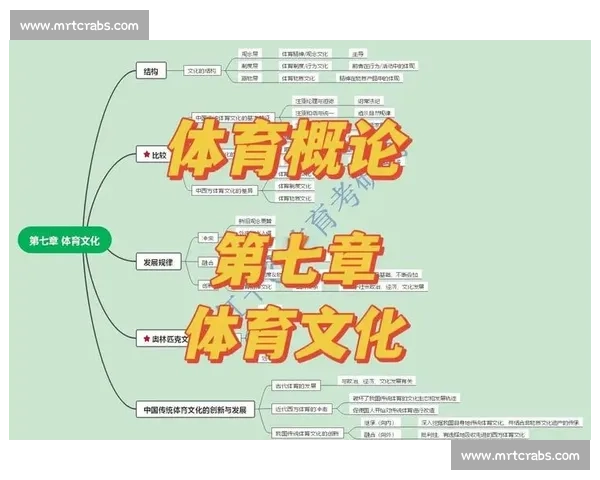 以比赛架为核心的创新设计及其在现代竞技体育中的应用探索