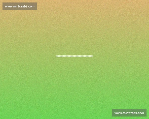 奥运射箭比赛精彩瞬间解析展现运动员极致专注与力量之美视频魅力