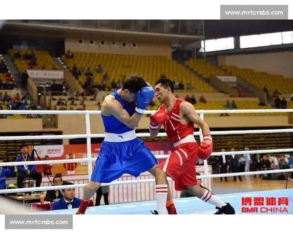 2017年拳王比赛精彩回顾与历史性对决分析